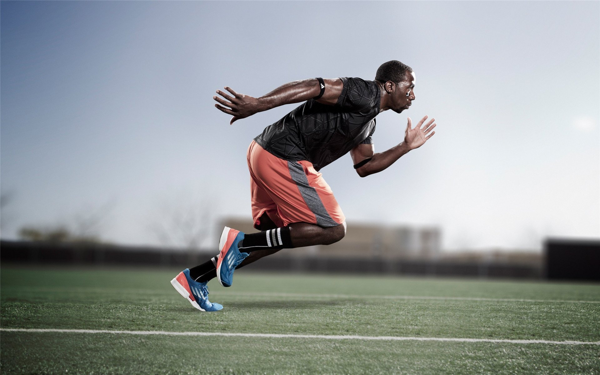 APEX英雄 赛事组织逐步规范，apexalgs赛制