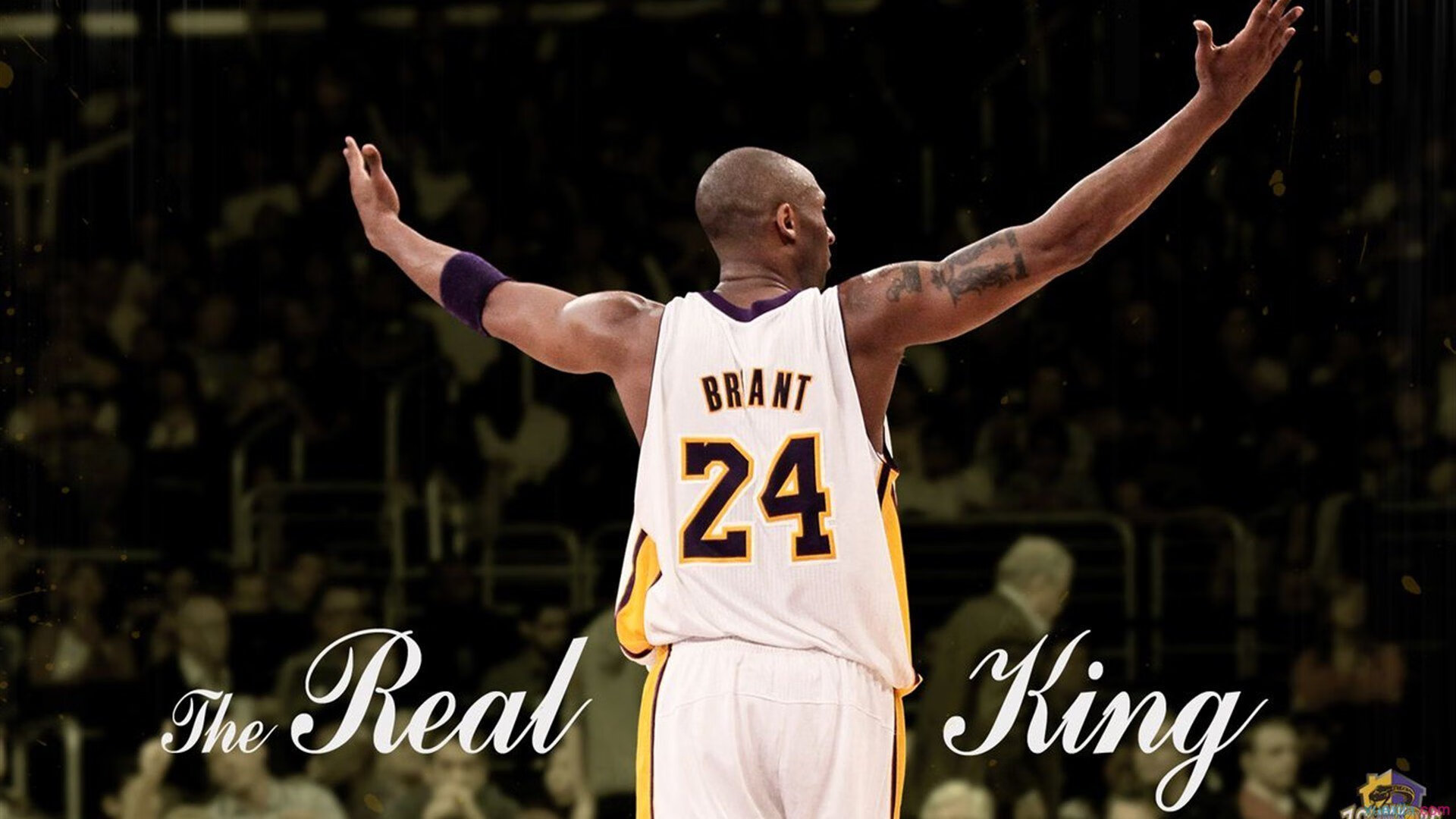 伊朗队中场卡瓦尼在巴黎奥运会上展现出强大的进攻组织能力，伊朗男篮卡兹米